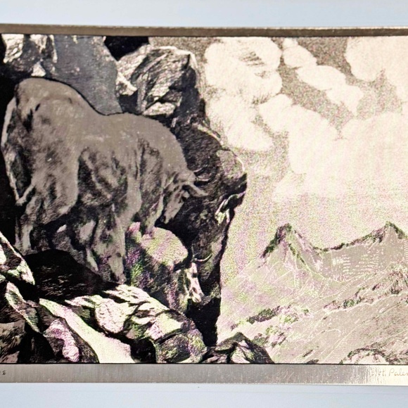 PRINTS, COPPER ETCHED, SET OF 4, BY R.H. PALENSKE, WILD ANIMALS, IN PRESENTATION - Picture 9 of 9